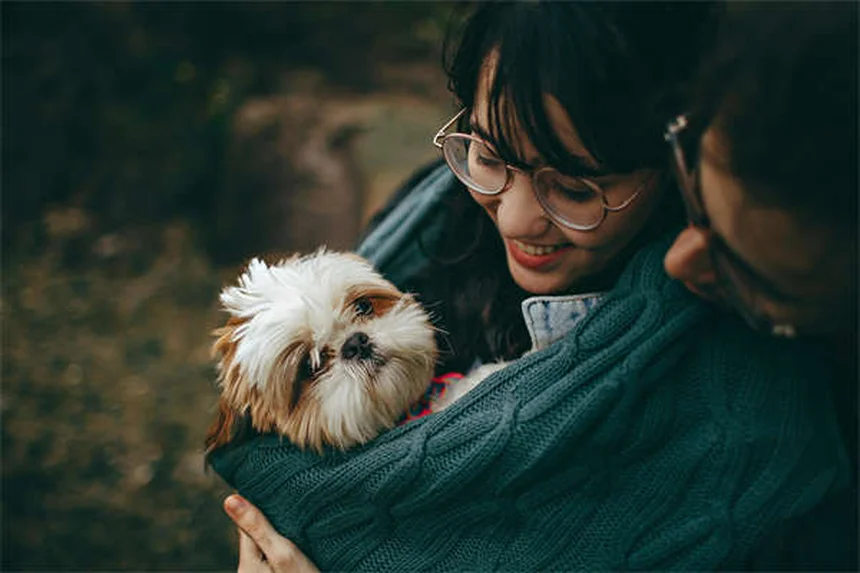 Quistes orales en perros: síntomas, tratamiento y prevención